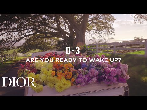 D-3, ARE YOU READY TO WAKE UP?